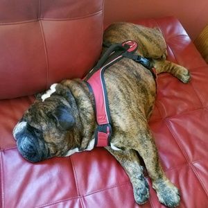 Meet your Posher, Robert